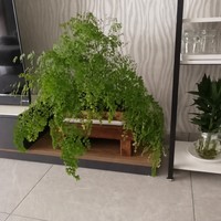 Support à fleurs à plusieurs niveaux en bois massif pour extérieur, étagère de rangement pour bonsaïs, présentoir à plantes en bois, plancher de jardin