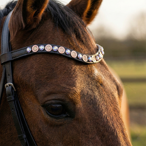 Banda Decorativa Premium para Caballo, Cuero Negro Curvado con Cristales Transparentes y Dorados Alternados, Tamaño Personalizado, Certificado A+ - Product Image 2