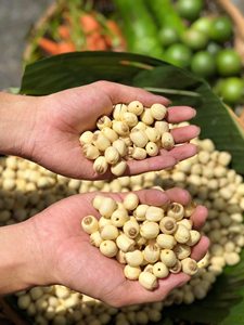 เวียดนามเมล็ดบัวรสชาติบริสุทธิ์จากหัวใจของทุ่งบัว - Product Image 2