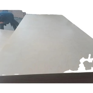 Fábrica de madera contrachapada a la venta Precio bajo 4x8 18mm Hoja de madera contrachapada de abedul báltico Madera contrachapada 18mm Uso interior de primera clase Países Bajos - Product Image 1