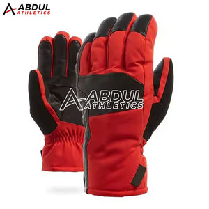 Gants de ski imperméables pour hommes, gants de snowboard thermiques isolés, logo personnalisé, approvisionnement OEM - Product Image 2