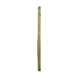 PALO IN LEGNO DI PINO IMPREGNATO MEZZO 8X300H CM - Product Image 1