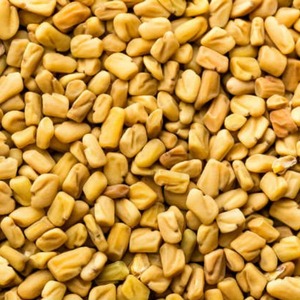 เมล็ด Fenugreek เมล็ดฟีนูกรีกดิบจากธรรมชาติสำหรับอาหารและผลิตภัณฑ์สุขภาพทางโภชนาการ - Product Image 5