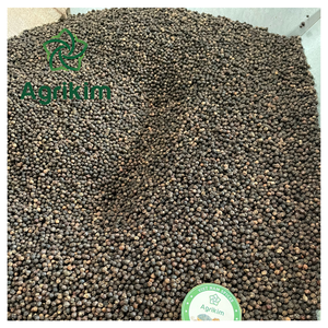 Pimienta negra seca de alta calidad a precio de fábrica en Vietnam - Product Image 1