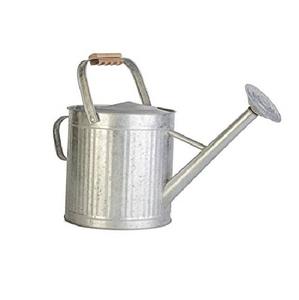 Bidons d'eau rustiques en métal galvanisé de meilleure qualité pour l'arrosage des plantes pour l'équipement de jardinage Fournisseur en gros - Product Image 1