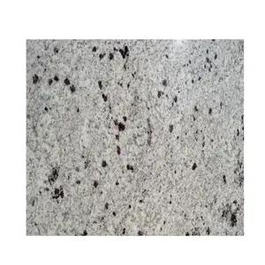 Excellent Quality High Polished Forest White Granite Natural Stone Slab for Living Room Flooring Decoration