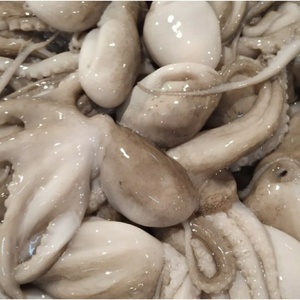 กล่องปลาหมึกสำหรับเด็กในทะเลแช่แข็งขนาดใหญ่พร้อมส่งออก - Product Image 5