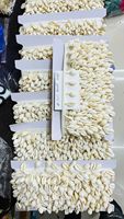 En gros Tissu de dentelle Honey Lace écologique pour mariage et mariée, brodé de fleurs, de perles blanches, de strass et de pompons à franges