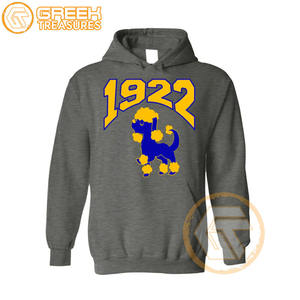 Sigma Gamma Rho personnalisé sweat à capuche brodé en molleton de coton sororité pull de haute qualité vêtements grecs sweats à capuche pour femmes - Product Image 4