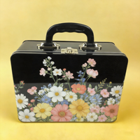 Boîte de rangement rectangulaire en métal avec couvercle à charnière, fermoir et poignée, pour couture, artisanat, trousse de premiers secours, vente en gros