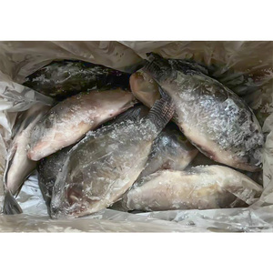 Tilapia Congelada al por Mayor |   Tilapia China a Precio Competitivo, Adecuada para Contratos de Suministro a Largo Plazo - Product Image 3