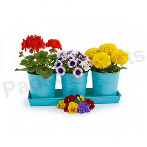 Macetas y Jardineras de Diseño Clásico y Duraderas para Interiores y Exteriores, Colgantes o con Soporte de Pie para Uso en el Hogar y el Jardín - Product Image 3