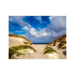 Troncos largos de haya para construcción y fabricación de muebles: suministro a granel a precios competitivos para su próximo proyecto - Product Image 4