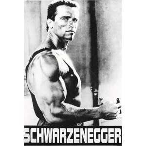 Póster de Arnold Schwarzenegger de estilo moderno para pared - Product Image 1