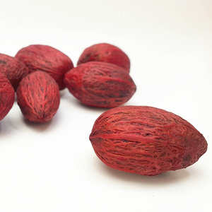 Amra POD แจกันฟิลเลอร์ตกแต่งต้นไม้บุหงาสำหรับบ้านหรือสำนักงานการออกแบบดอกไม้ที่หรูหราสำหรับใช้ในร่ม - Product Image 4