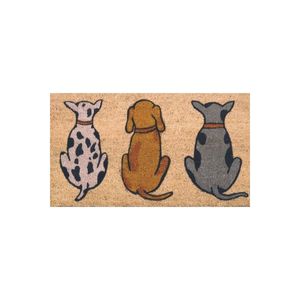 Netline Home <b>Coir</b> Door <b>Mat</b> for Cats and Dogs 45x75 cm - Product Image 4