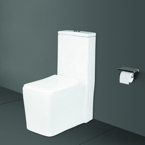 Offre Spéciale CUPC approuvé monobloc céramique Siphon eau placard toilette-pas cher prix sanitaire WC - Product Image 3