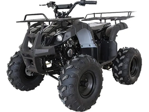 Motocicleta Todoterreno Económica de 4 Ruedas, 125CC, Little Bull Beach Cruiser para Adultos, Gasolina, para Desierto, Montaña y Todo Terreno - Product Image 3