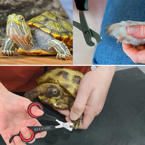 Comodi Tagliaunghie in Acciaio Inox per Animali Domestici, Forbici e Trimmer Personalizzati in ABS per la Cura delle Unghie dei Gatti, Kit per la Toelettatura degli Animali - Product Image 3