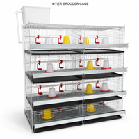Cage d'élevage de poussins de type H, nettoyage automatique du fumier, double moteur, cage à volailles en acier galvanisé, poussins de 0 à 14 semaines