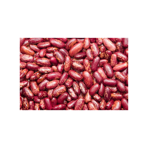 Export Red Kidney <b>Beans</b> Light Speckled High Quality Red Kidney <b>Beans</b> Cheap Price - Product Image 6