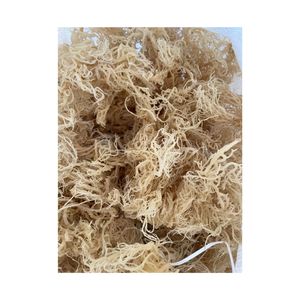 Musgo Irlandés Dorado Seco, Eucheuma Cottonii, Alga Marina Natural Silvestre, Cargareen, Recolectado del Océano de Vietnam - Product Image 5