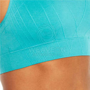 Nouveauté Soutien-gorge de sport pour femmes de haute qualité Sans couture Yoga Fitness Wear Soutien-gorge de sport pour la salle de sport à prix raisonnable - Product Image 2