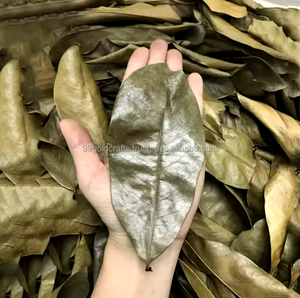 บรรจุสำหรับการสั่งซื้อจำนวนมากและจำนวนน้อยทุเรียนเทศระดับพรีเมียมจากส่วนผสมชากริโอลาของเวียดนามที่มีกลิ่นหอมแห้ง - Product Image 3