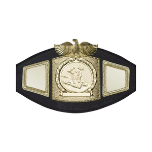 เข็มขัดแชมป์สั่งทำสำหรับเทควันโดจิว-จุสึยูโดโลโก้สายหนังแท้สำหรับคาราเต้ซามูไรไอคิโด - Product Image 4