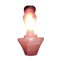 Lampe de sel de l'Himalaya naturelle, lampe de chevet LED décorative pour chambre à coucher, salon, décoration intérieure
