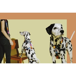 Prisma Fashion Pet Safety H-<b>Harness</b> Small <b>Medium</b> & XL Striped Pattern with Reflective Buckles for <b>Dogs</b> - Product Image 3