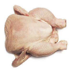 Pollo Entero Congelado Certificado Halal, Partes de Aves de Corral, Cuerpo y Pierna, Listo para Exportar, Empacado en Bolsas y Cajas, Proveedor Profesional de Pollo - Product Image 5