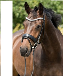 Bride de cheval en cuir véritable de haute qualité de conception personnalisée en gros - Product Image 2