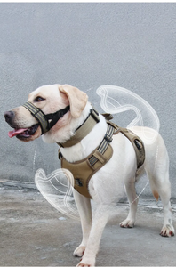 Harnais de sport réglable en nylon pour chien, motif écossais, avec clochette et boucle rose, pour chiens de taille moyenne, lavable en machine - Product Image 2