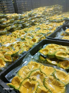 EXCELENTE AGUACATE CONGELADO, ENTERO, MITAD, DADOS, PULPA-AGUACATE FRUTAS CONGELADAS MUCHA NUTRICIÓN Y PRECIO ATRACTIVO DE VIETNAM - Product Image 5