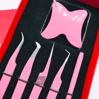 Ensemble de pinces à cils durables de haute qualité en revêtement rose avec miroir papillon et pointe pointue en acier inoxydable