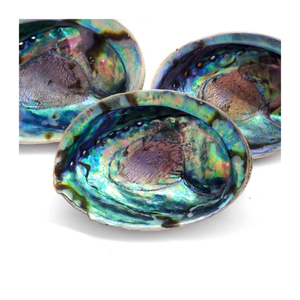 Perlas artísticas Premium de concha de abulón a granel para dijes de joyería, diseño de utensilios y proyectos de mini jarrones - Product Image 2