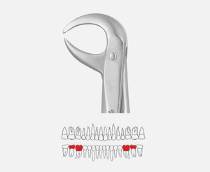 Pour Amin Pince à extraction manuelle de molaires inférieures de haute qualité #86 C Acier inoxydable certifié CE avec poignée ergonomique - Product Image 2