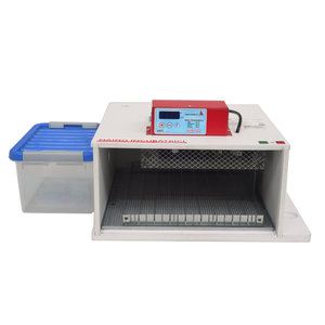 Incubatrici per uova di piccole dimensioni completamente automatiche Made in Italy di alta qualità 36 uova di gallina PIOPIO 36 DU - Product Image 2