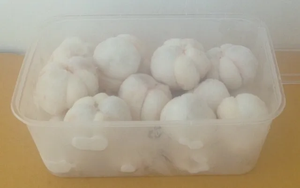 มังคุดสินค้าส่งออกเกรดพรีเมี่ยม - Product Image 2