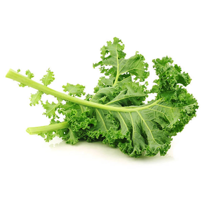 Lechuga Verde Congelada IQF de Primera Calidad, Venta Directa de Fábrica, Vegetales Congelados para Exportación - Product Image 1