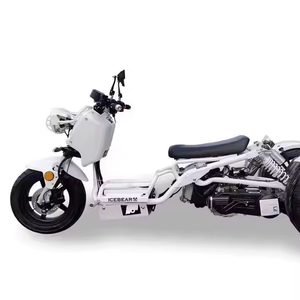 Original Icebearss Trikes 150cc monoplaza Cruising Delight disponible para la venta - Product Image 2