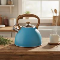 Haute qualité 3L en acier inoxydable eau chaude théière cuisine maison cuiseur à eau avec sifflet bouilloire et peinture de couleur pour café
