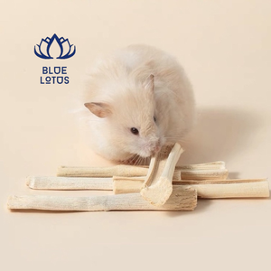 Bâton de canne à sucre séchée en bambou doux pour animal de compagnie, Hamster, souris, jouets à mâcher, nettoyage des dents - Product Image 5