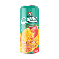 Fabrieksgroothandel 330ml Natuurlijk Mango Fruchtsap Aangepaste Privélabel Koolzuurhoudende Frisdranken Gezonde Fruitdrank ISO Verpakking