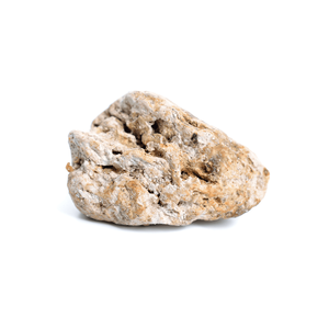 High Quality White Ambergris Animal <b>Extract</b> Capsules for Bulk Sale with Direct Shipment to Cosmetic Buyers - Product Image 2