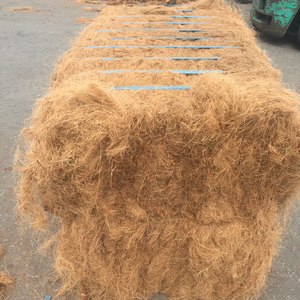 Produits agricoles en fibre de noix de coco de haute qualité Meilleur prix pour les grossistes Conforme à la norme d'exportation - Product Image 6