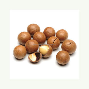 Meilleur prix Noix de macadamia séchées crues biologiques en coque de qualité supérieure de taille moyenne Fabrication aux États-Unis en gros - Product Image 1