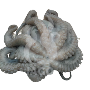 Pulpo de mariscos frescos y congelados a la venta Producto de pulpo de calidad premium - Product Image 2