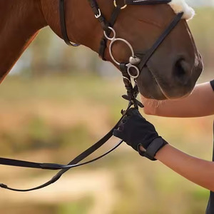 100%, ropa de invierno de alta calidad, guantes de cuero para montar a caballo de secado rápido/guantes de cuero para montar a caballo impermeables personalizados - Product Image 4